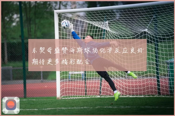 东契奇盛赞海斯球场化学反应良好期待更多精彩配合